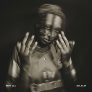 PYT (feat. Benjii_sa)
