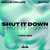Shut It Down (P Money Remix) artwork