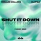 Shut It Down (P Money Remix) artwork