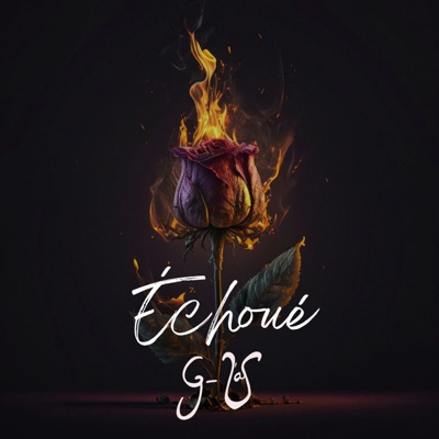 échoué - Single