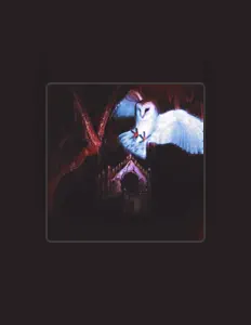 收听 FIRSTONE、观看音乐视频、阅读小传、查看巡演日期等 ！