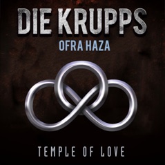 Temple Of Love - Single