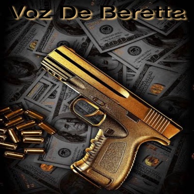 Voz De Beretta (feat. Terroristas Family) - Single
