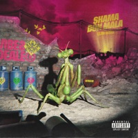 Vibes Dealer - Single - Shama24k, Malacarne & Elan Rood