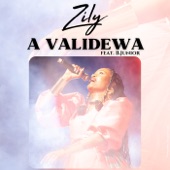 A Validewa (feat. B-Junior) artwork