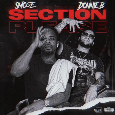 Section Please - Single