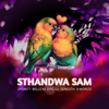 Sthandwa Sam (feat. Bello M, Epic DJ, Seneath & X-Morizo) - 2point1
