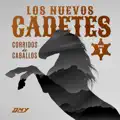 Los Caballos de Pancho Villa