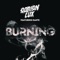 Burning (feat. Dante Kinnunen) - Adrian Lux lyrics