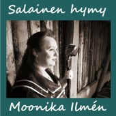 Salainen hymy artwork