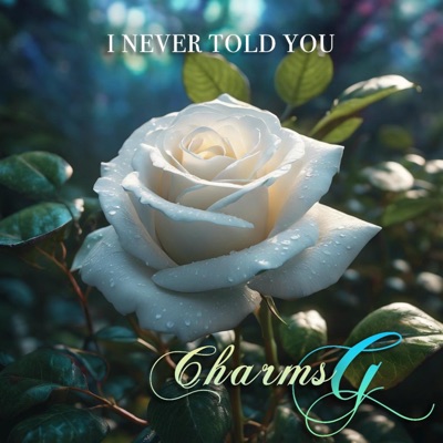 I Never Told You - Single