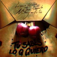 Tu Sabes Lo Q Quiero (feat. Mayinbito & Liza + Willie) - Single - Jae Camilo