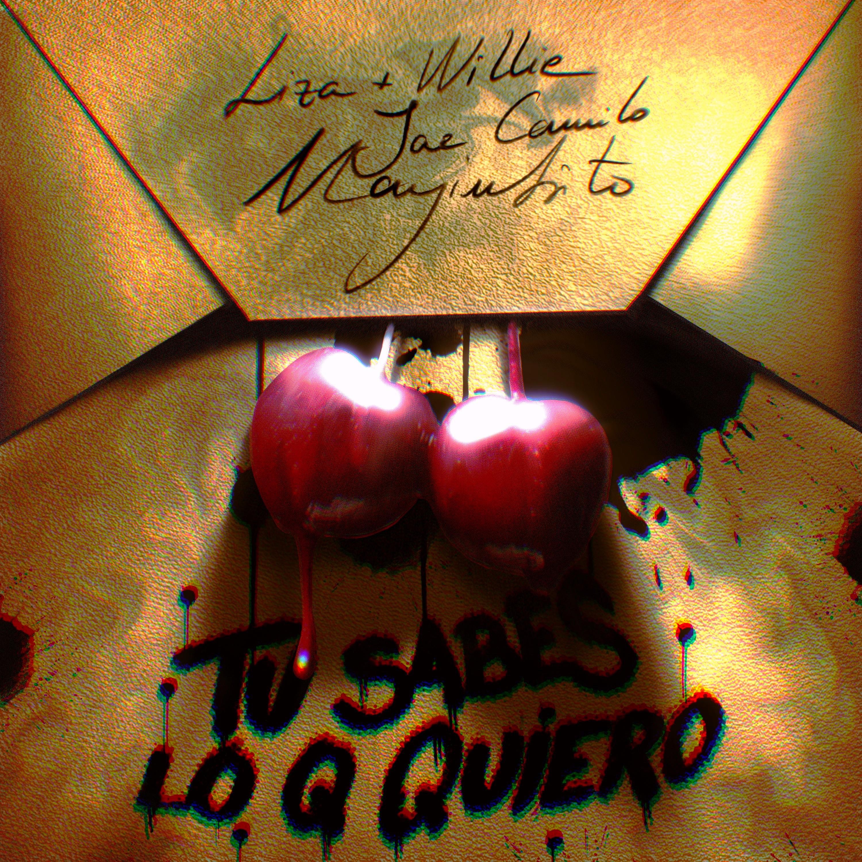 Tu Sabes Lo Q Quiero (feat. Mayinbito & Liza + Willie) - Single