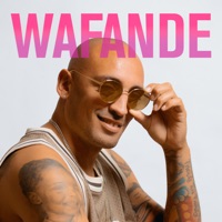 Vibrationer - Single - Wafande