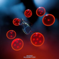 PLEASE DONT CRY TAPE - Malenko