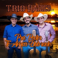 Pra Poder Te Amar Dobrado - Single - Trio Raízes do MS
