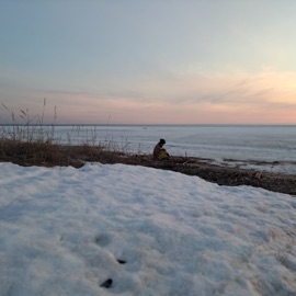 Бог Без Гордона