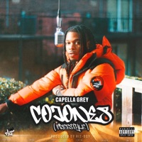 COJONES Freestyle - Single - Capella Grey