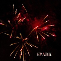 Spark (feat. Dyna Edyne) - Single - J-illy da kidd