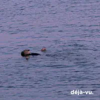 SOZINN
DÉJÀ-VU — SOZINN
DÉJÀ