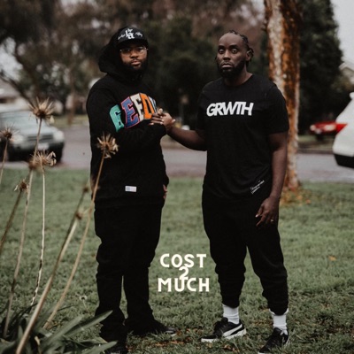 Cost 2 Much - Single