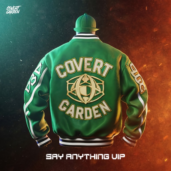 Say Anything Vip - Single