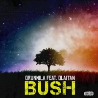 Bush (feat. Olaitan) - Single - Orunmila