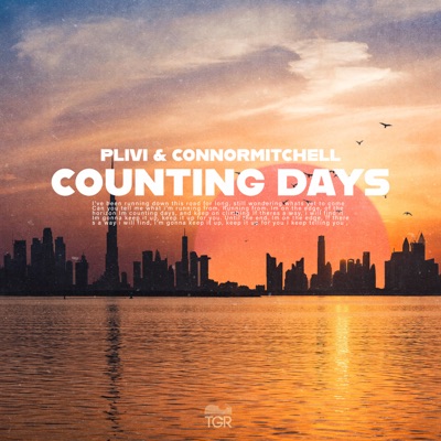 Counting Days - Single