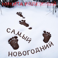Самый новогодний - Single - Никита Колюжный