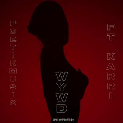 W.Y.W.D (feat. Karri) - Single