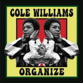 Organize - Single