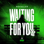 Waiting for You (Extended Mix) artwork