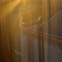 Trust Issues 2 - Single - Wow kt