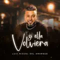 luis miguel del amargue
