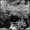 Lucky Black Cat - Noah Yorke lyrics
