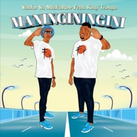 Maninginingini (feat. King Tsonga) - Single - Vanhu Va MtakaRoW