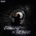 Crawling In The Dark