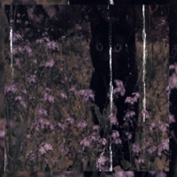 As Long As Its You (feat. ilyANGEL22) - Single - Lil Ricecooker