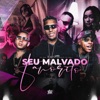 Seu Malvado Favorito - Single