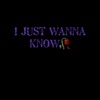 I Just Wanna Know... - Single