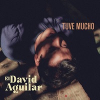 Tuve Mucho - Single - El David Aguilar