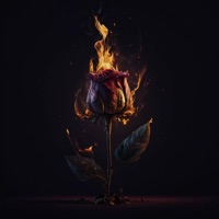 Finish What We Started - Single - Roakii