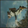 Upside Down