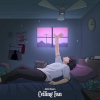 Ceiling Fan - Single - John Daues