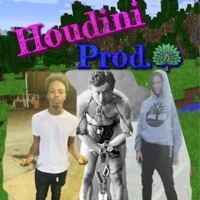 Houdini (feat. OppPack5inco) - Single - Flap Peacock