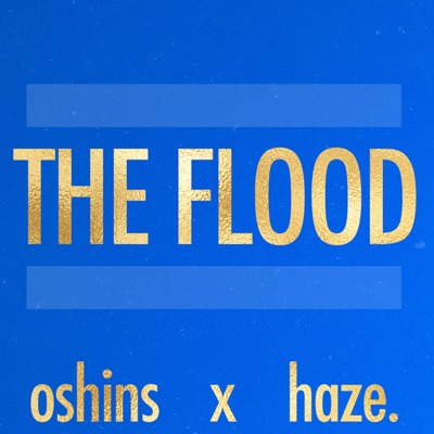 The Flood (feat. haze.) - Single