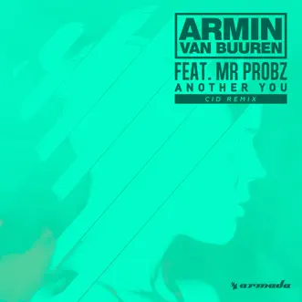 Another You (feat. Mr. Probz) [CID Remix] by Armin van Buuren song reviws