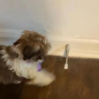 BREAK (feat. ASKYE) [Radio Edit] - Single - Helene the Magician