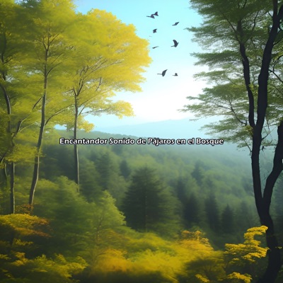 Encantador Sonido de Pájaros en el Bosque