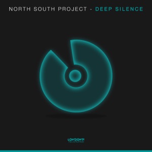 Deep Silence - Single